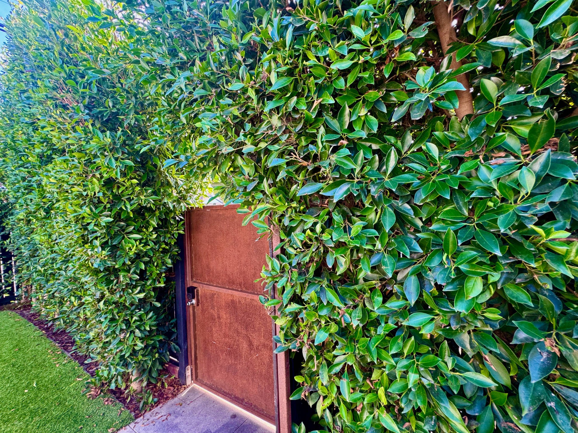 Hedges